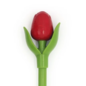 Rode houten tulp op een balpen
