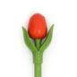Orangefarbene Tulpe aus Holz auf einem Kugelschreiber