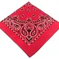 Bauerntaschentuch rot