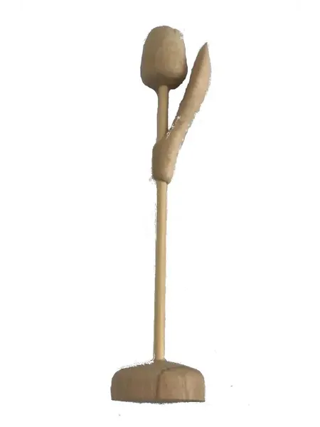 Blanke Houten Tulp op Voet