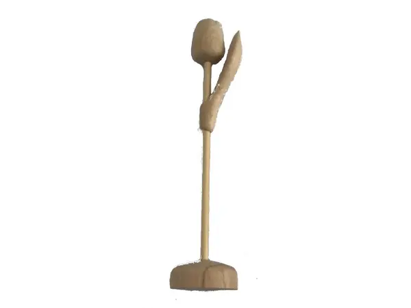 Blanke Houten Tulp op Voet