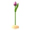  Purple Wooden Tulip on Foot