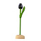  Donkerpaarse houten tulp op een voet