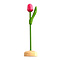  Roze -witte houten tulp op een voet
