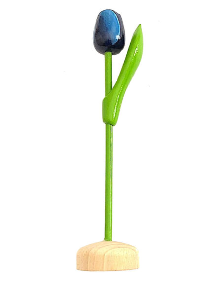 Kleine blaue Tulpe auf Fuß
