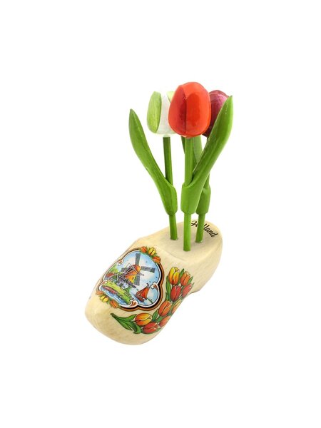 Holztulpen auf einem transparenten Clog