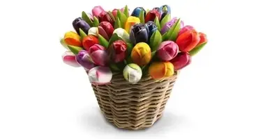 Tulpen aus Holz Tulpen aus Holz