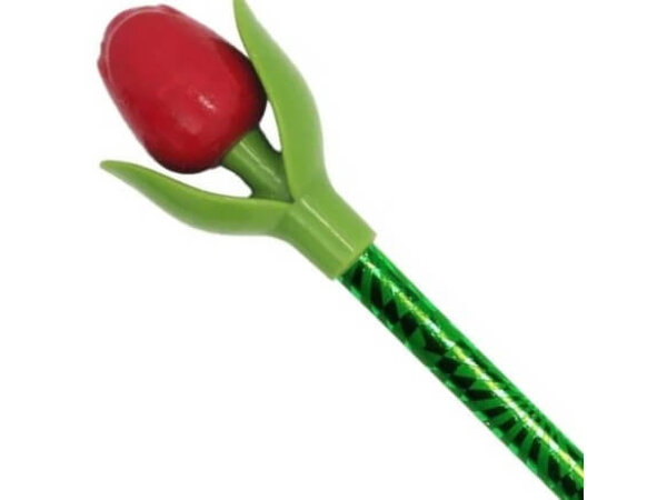 Rood Mini Tulpje op een Potlood