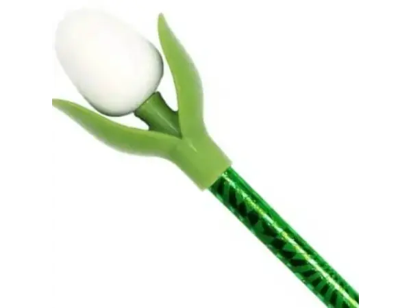 Weiße Mini-Tulpe auf einem Bleistift