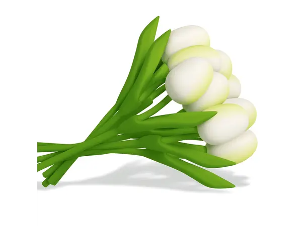 Boeket Witte Houten Tulpen