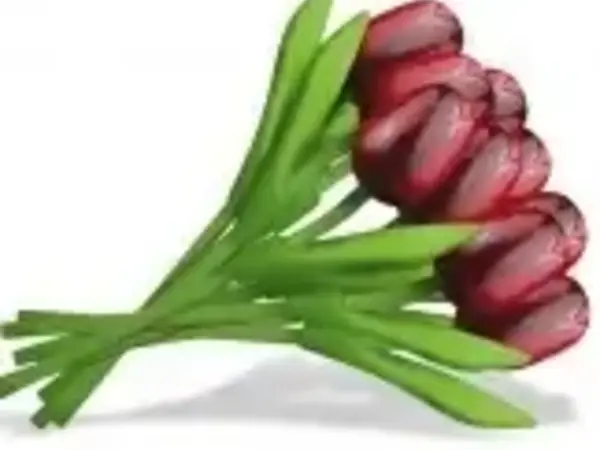 Strauß roter Tulpen aus Holz