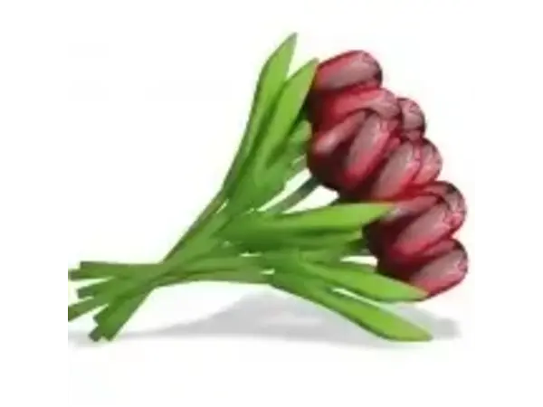 Boeket Rode Houten Tulpen
