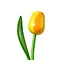  Gelbe Holztulpe 180cm