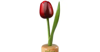 hölzerne Tulpe zu Fuß groß