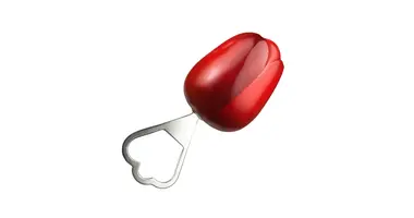 Flessenopener houten tulp