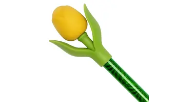Tulip on a Pencil