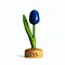  Holz Tulpen mit Logo auf Fuß in verschiedenen Farben