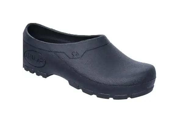 Blue garden clog