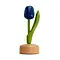  Blaue Holztulpe auf einem Fuß