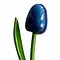 Wooden Tulips in Blue