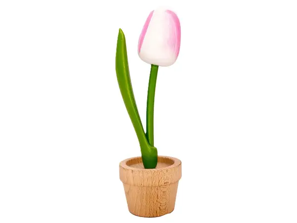 Large white-pink wooden Tulip in a Pot