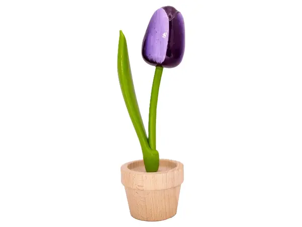 Große, dunkelviolette Holztulpe im Topf
