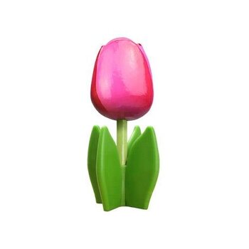Rosa Holz Tulpe auf einem Blatt