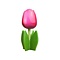  Roze houten tulp op een blad
