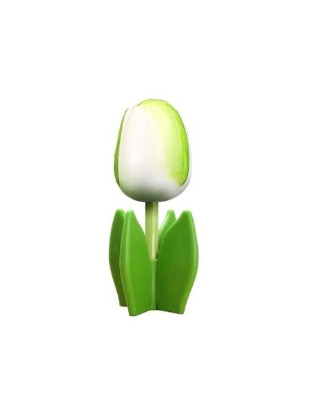 Witte houten tulp op een blad