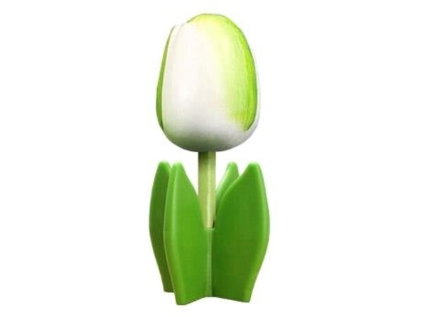 Witte houten tulp op een blad