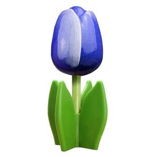 Blaue Holz Tulpe auf einem Blatt