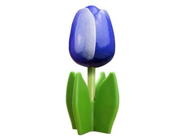 Blaue Holz Tulpe auf einem Blatt
