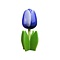  Blue wooden tulip on leaf