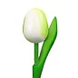 wooden tulips white 20cm