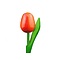  Tulpen aus Holz orange 20cm