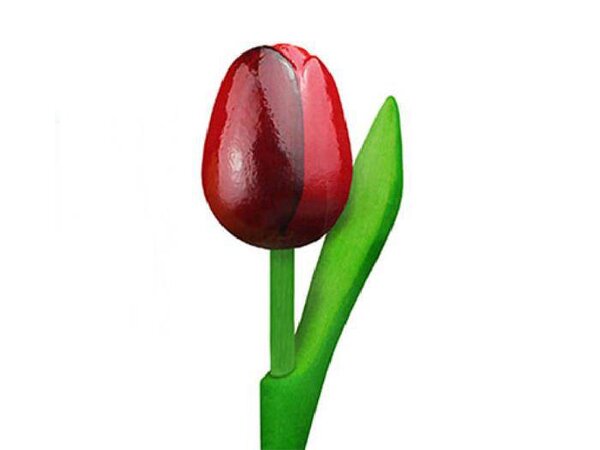 rode houten tulp
