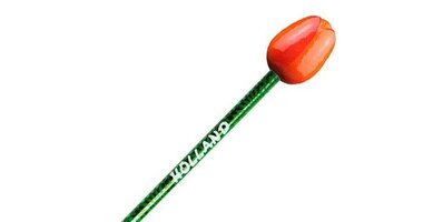 Tulpe auf einem Bleistift
