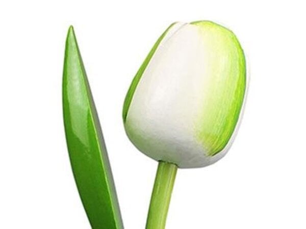 Wooden tulips in white