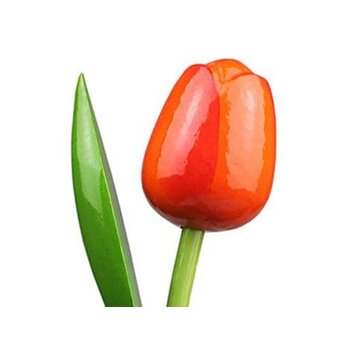 Holztulpen in Orange