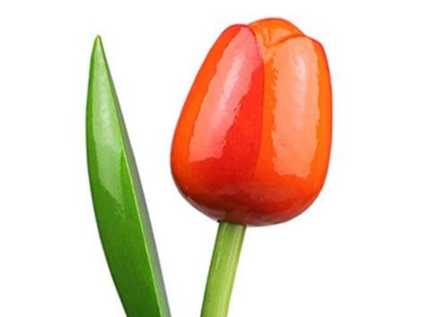 wooden tulips in orange