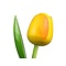  Gele houten tulpen