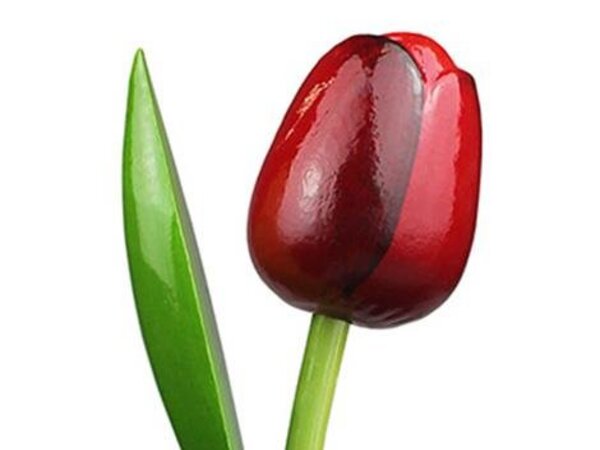 Holztulpen rot