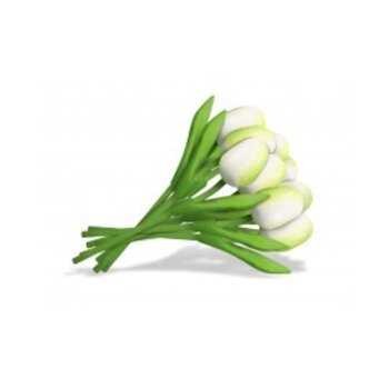 Boeketje witte houten tulpen Boeketje witte houten tulpen