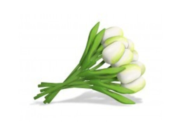 Boeketje witte houten tulpen