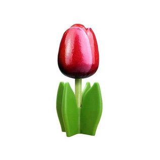 Rood - witte houten tulp op een blad