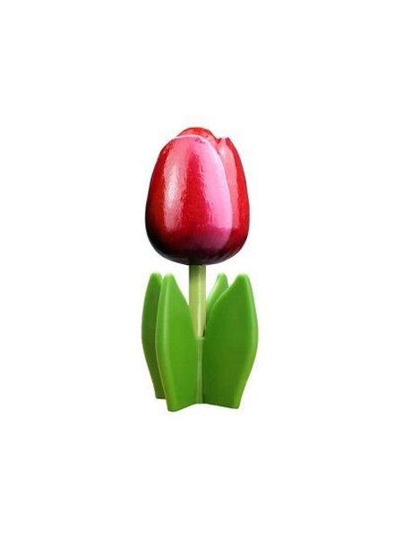 Rood - witte houten tulp op een blad