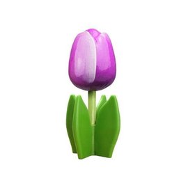 Purple wooden tulip on a leaf