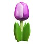 Paarse houten tulp op een blad