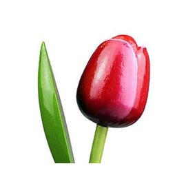 Wooden tulips red - white