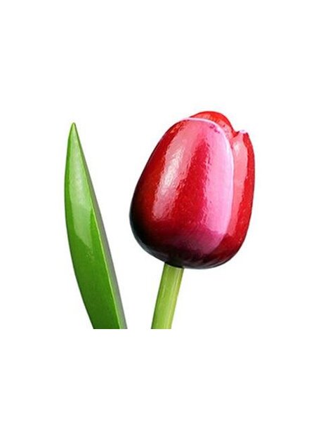 Wooden tulips red and white
